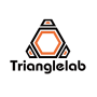 DFORCE TriangleLab